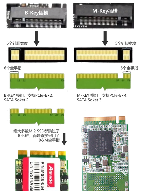 m2固态 几种插口区别？（固态硬盘有哪些接口）