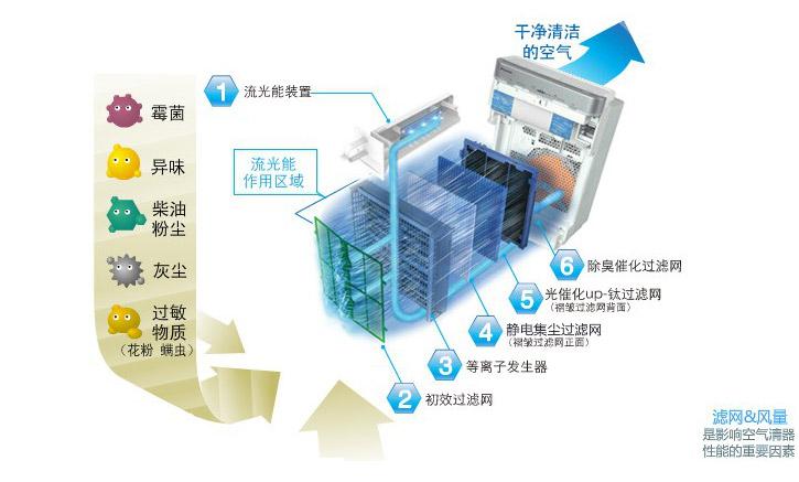 空气净化的方法有哪些？（净化空气的方法有哪些）