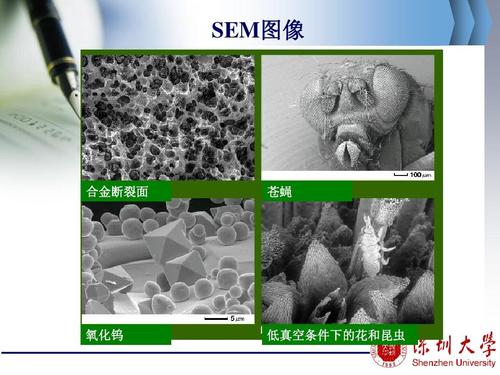 SEM指什么？（sem有哪些）