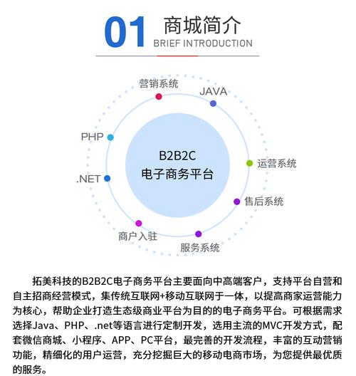 b2c的电子商务网站有哪些？（b2c的电商平台有哪些）-图3