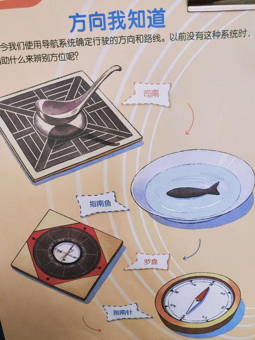 大自然中有什么指南针？至少写十三种？（指南针有哪些）-图3