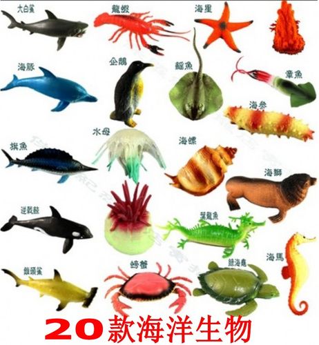 海底有哪些动物？（海洋生物有哪些名称）