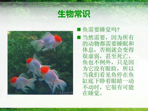 生命现象有哪些？（生物的生命现象有哪些）-图1