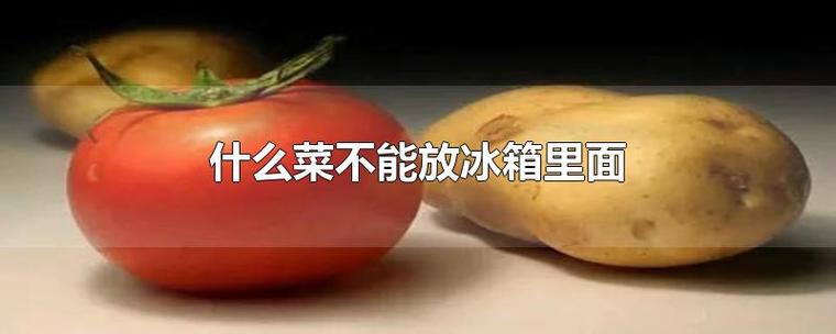 哪五种菜不能放冰箱？（哪些蔬菜不适合放冰箱）