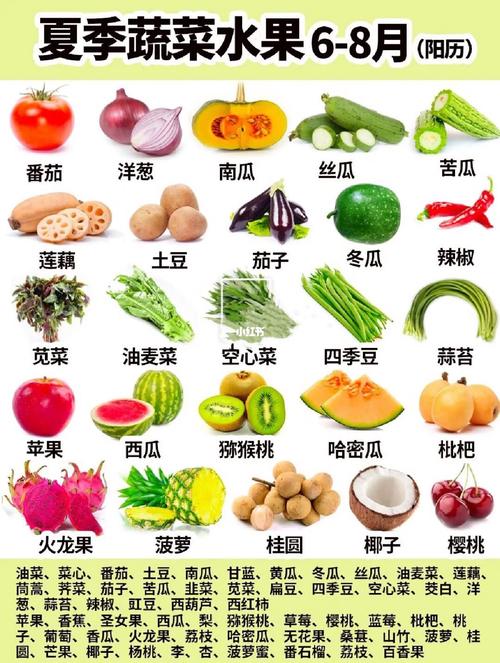 8月的蔬菜和水果有哪些？（8月有哪些蔬菜）-图2