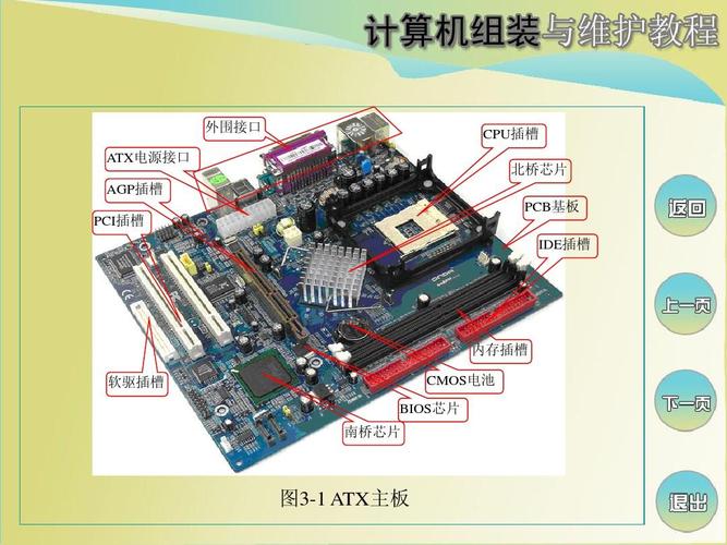 cpu由什么什么什么与基板之间的填充物及金属？（cpu包括哪些）