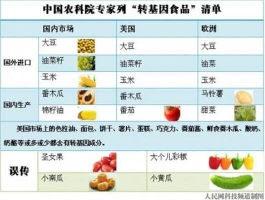 官方承认的转基因食品有哪些？（中国现在转基因食品有哪些）