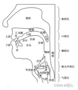 听的押韵字？（人的发音器官有哪些）