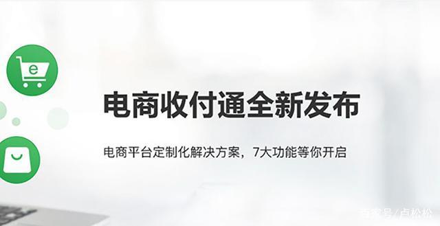 除了支付宝，微信支付还有哪些第三方支付平台公司？（微信营销平台有哪些）-图3