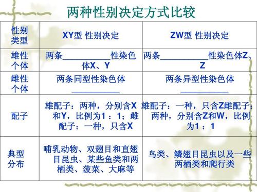 伴性遗传和常染色体显性、隐性遗传还有性染色体的显性、隐性遗传有什么区别啊？（常显有哪些）-图1