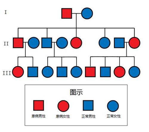 伴性遗传和常染色体显性、隐性遗传还有性染色体的显性、隐性遗传有什么区别啊？（常显有哪些）-图3