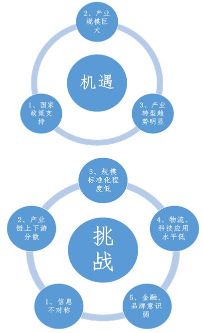 怎样认识互联网带来的机遇和挑战？（互联网分类有哪些）-图2