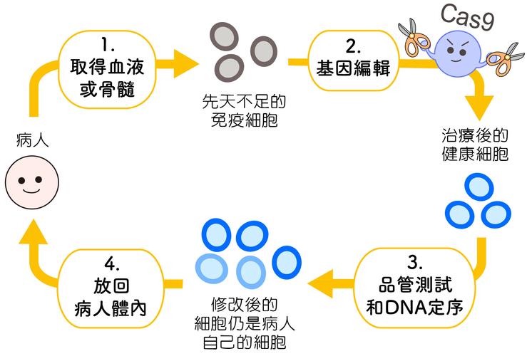 诺灵基因是基因编辑么？（基因编辑治疗哪些疾病）