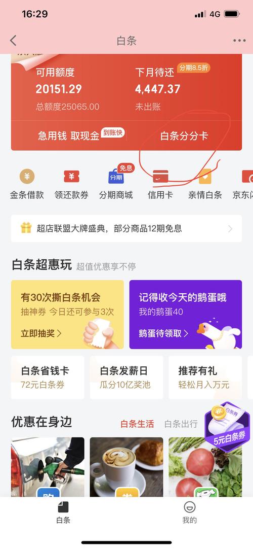 可以打白条买东西的是什么软件？（哪些购物网站有白条）-图3