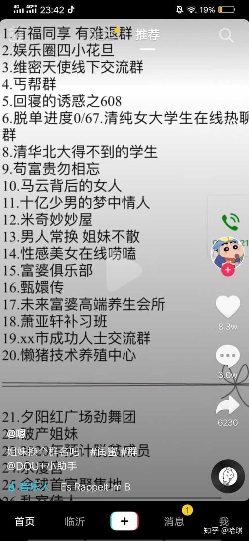 闺蜜群名称霸气搞笑？（有哪些恶搞的群名片）-图2