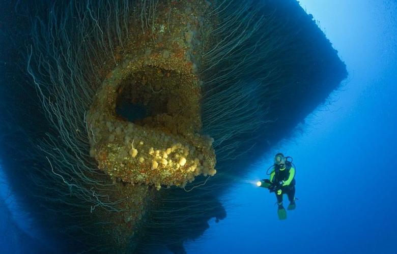 深海有哪些生物？（深海有哪些生物）-图3