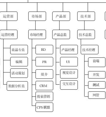 IT公司都有什么职位？（it有哪些职位）-图2