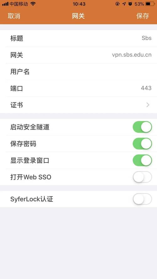 手机上显示vph是什么意思？（手机有哪些vpn）