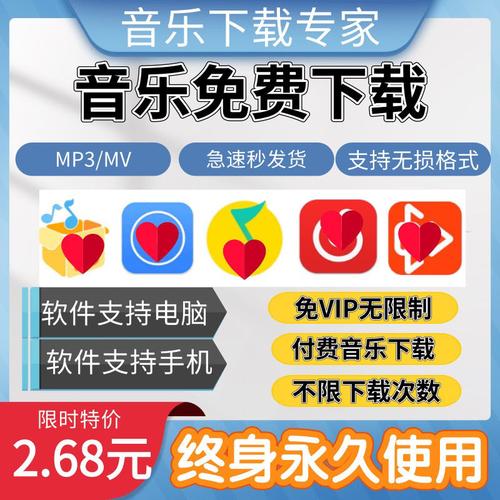 哪些歌曲要vip？（网易付费的歌有哪些）-图2