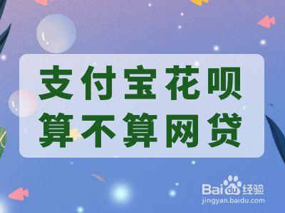 消费宝付什么意思？（宝付网络有哪些网贷）-图2