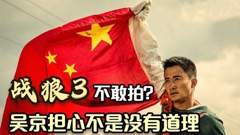 为什么战狼2没人敢拍？（战狼2投资方有哪些）-图3