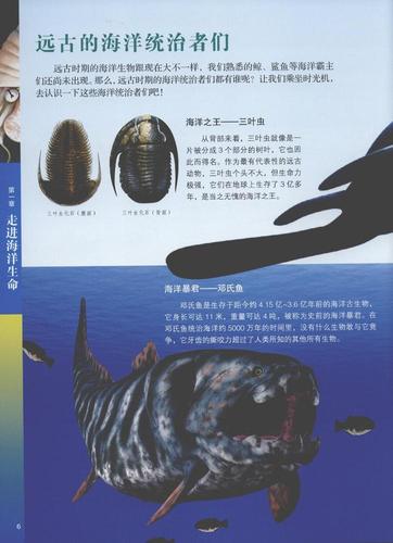 有关远古海洋生物的书籍？（远古海洋生物有哪些）