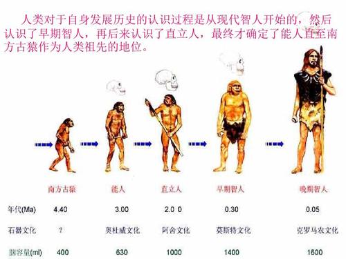 人类历史上有哪些时代？（时代有哪些）-图1