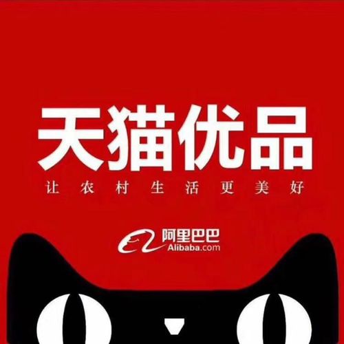 天猫自有品牌叫什么？（天猫品牌有哪些）-图3