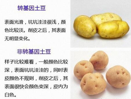 转基因食物有哪些？（哪些食品是转基因）-图2