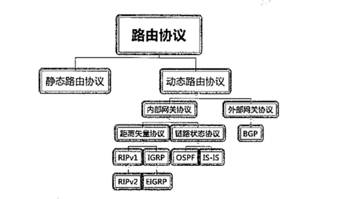 三种常用的路由协议的实际意义？（哪些路由协议）