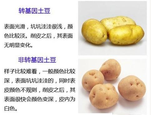 哪些食物是转基因食物？（哪些食品是转基因的）-图3