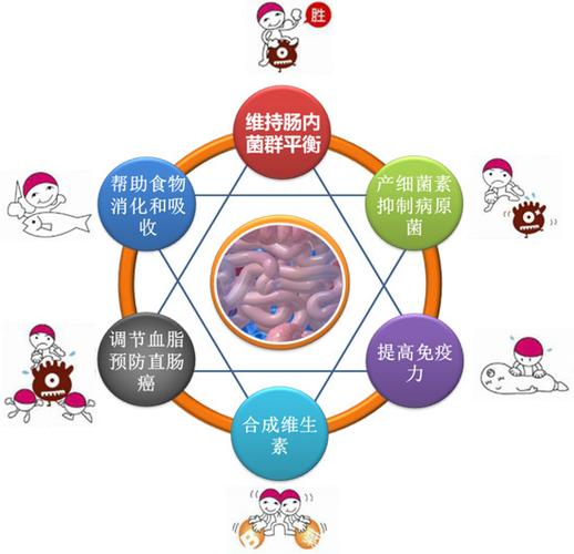 人体的四大菌库是什么？（人体有哪些菌）