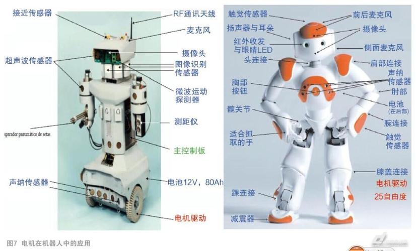 机器人三大基本结构和作用？（有哪些功能的机器人）-图2