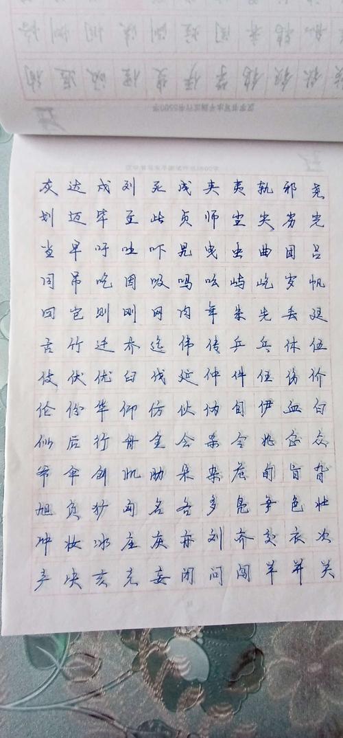 想练练硬笔字，大家觉得什么字体好看？（好看的文字有哪些）