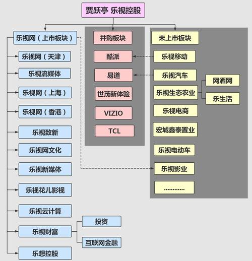 乐视的业务有哪些？（乐视上市的有哪些）-图2