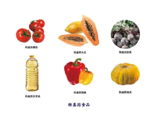 哪些食物是转基因食物？（哪些食物是转基因的）-图2