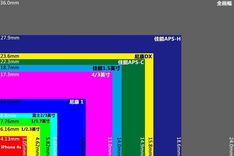 全画幅相机十佳评测？（单反有哪些画幅）-图2