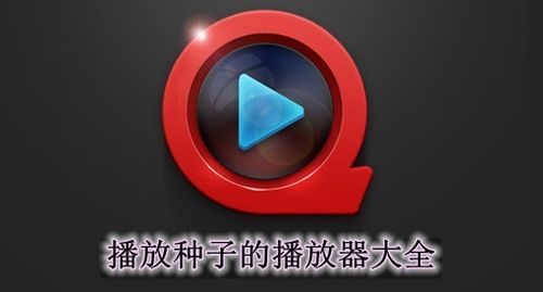 手机种子播放器哪个好？（有哪些种子播放器）-图3