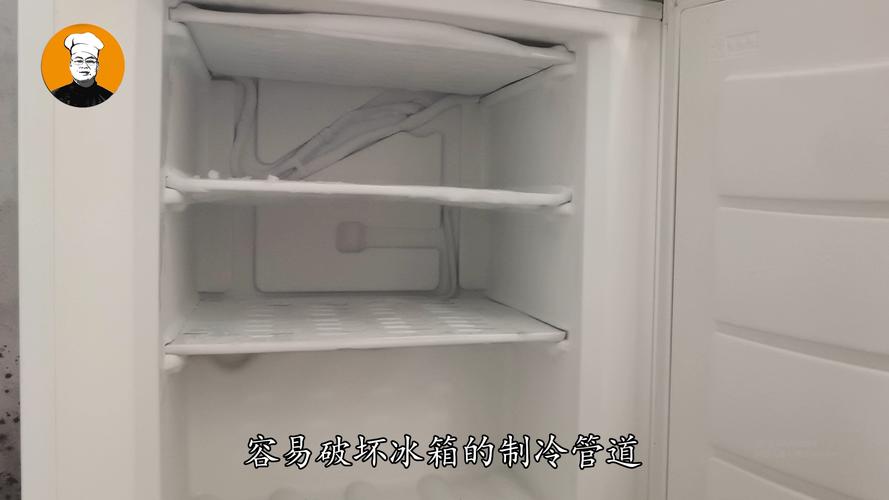 什么样的冰箱不用经常除冰？（哪些是无霜冰箱）-图3