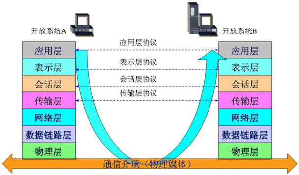 1983年什么成为人类共同的网络传输协议？（网络传输的协议有哪些）