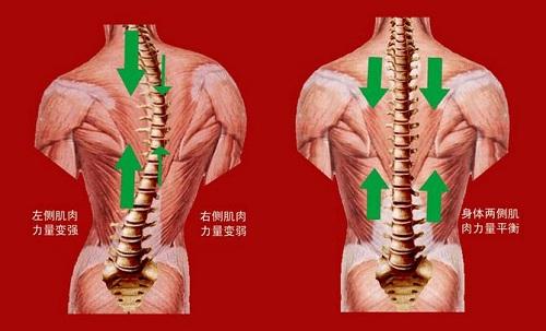 人体器官各比喻了什么1心脏。2臂膀。3心肠。4嘴脸。5口舌。6脊梁？（人类器官有哪些）-图2