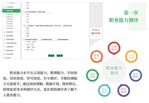 残疾人职业能力测评有哪些方面？（职业测评有哪些）-图1