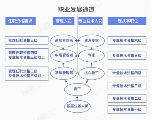 华为一共有哪些岗位？（华为都有哪些岗位）