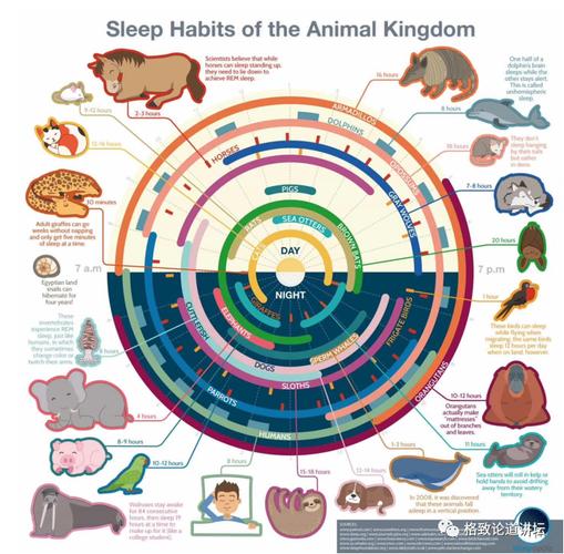 动物生物钟有哪些种类？（哪些动物生物钟）-图3