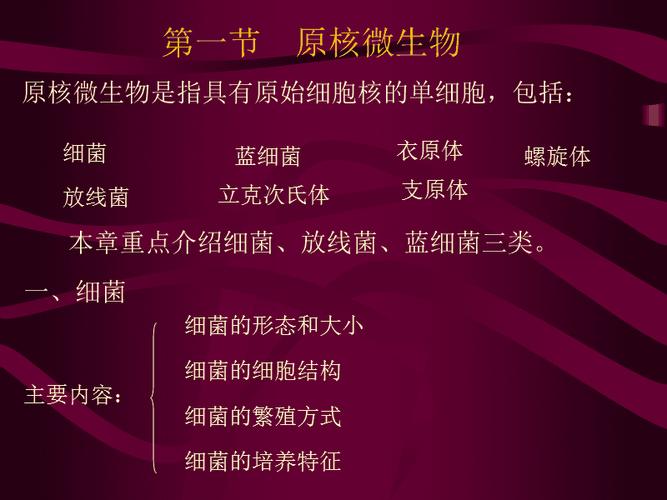 环境中主要的微生物类群有哪些？（环境微生物有哪些）