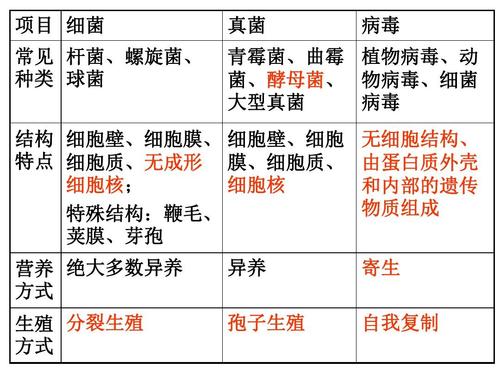 环境中主要的微生物类群有哪些？（环境微生物有哪些）-图3