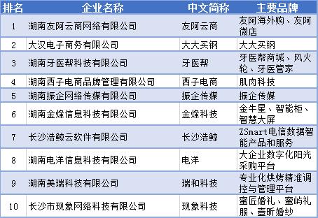 湖南省最优秀的电商企业？（电商行业上市公司有哪些）-图2