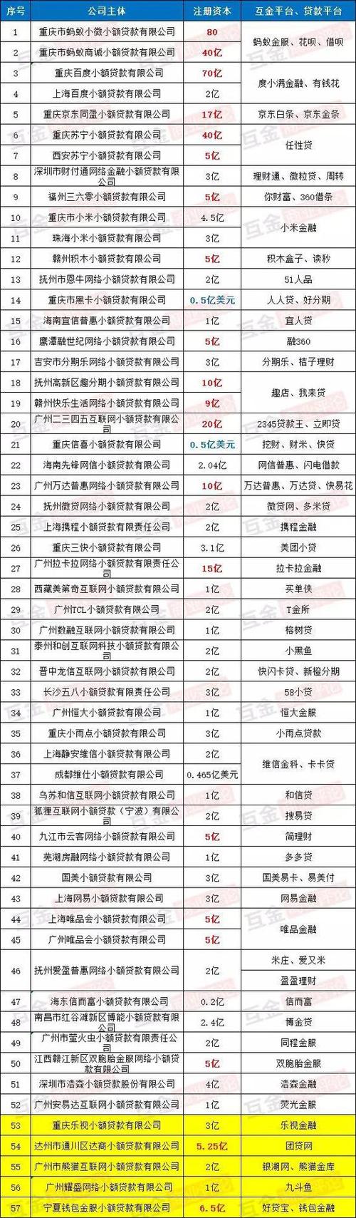 国家允许的小贷公司？（有小贷牌照的公司有哪些）-图3