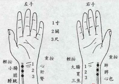 细数和悉数的区别？（细数有哪些）-图3