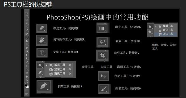 photoshop哪些是绘画工具共有？（哪些软件可以ps）